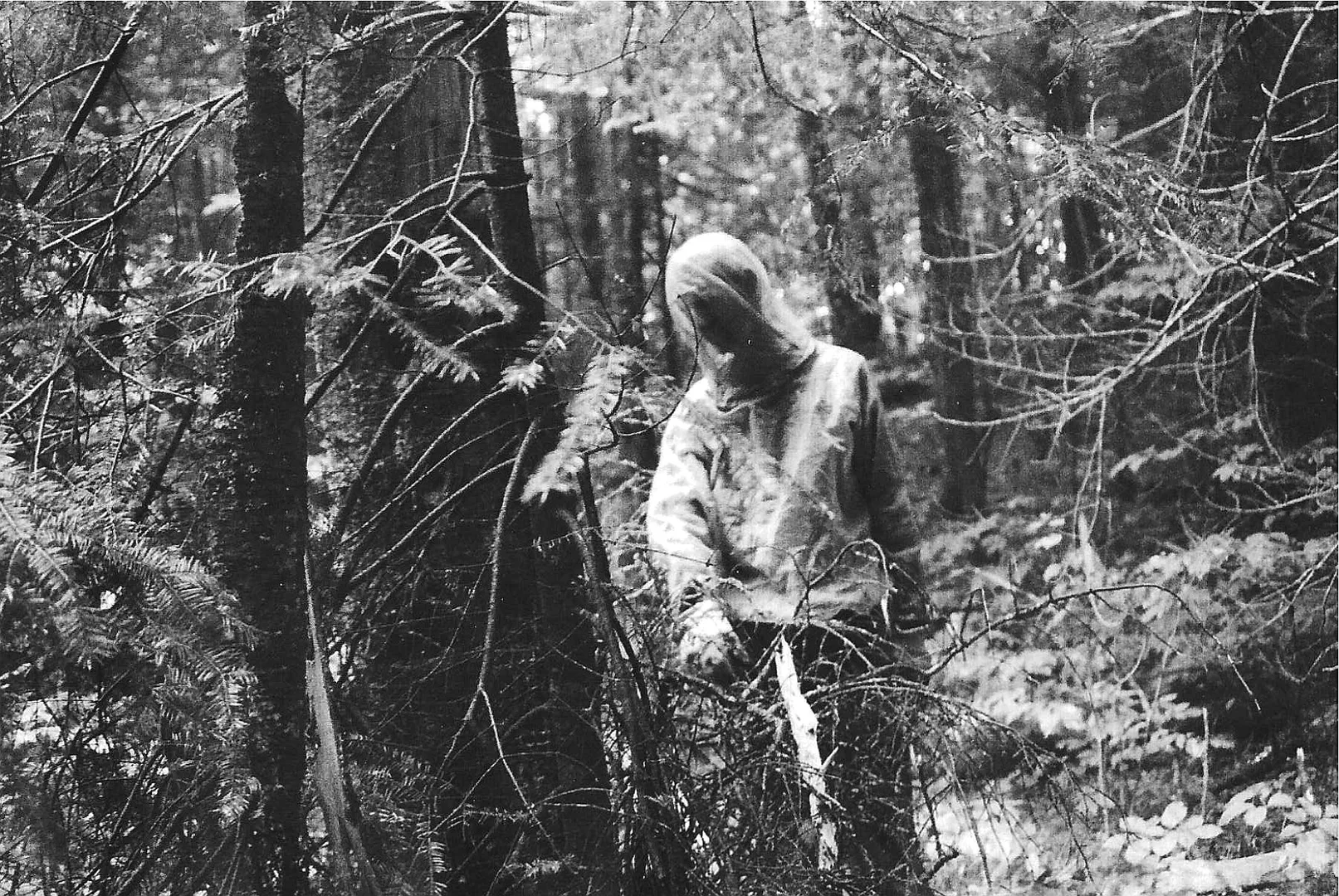 Image description